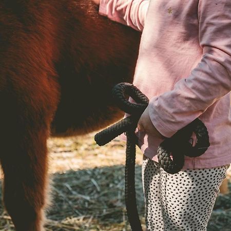 Familienhotel Replerhof Mit Kinderbetreuung Prägraten Εξωτερικό φωτογραφία